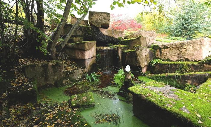 Moss Garden and Rock Face
